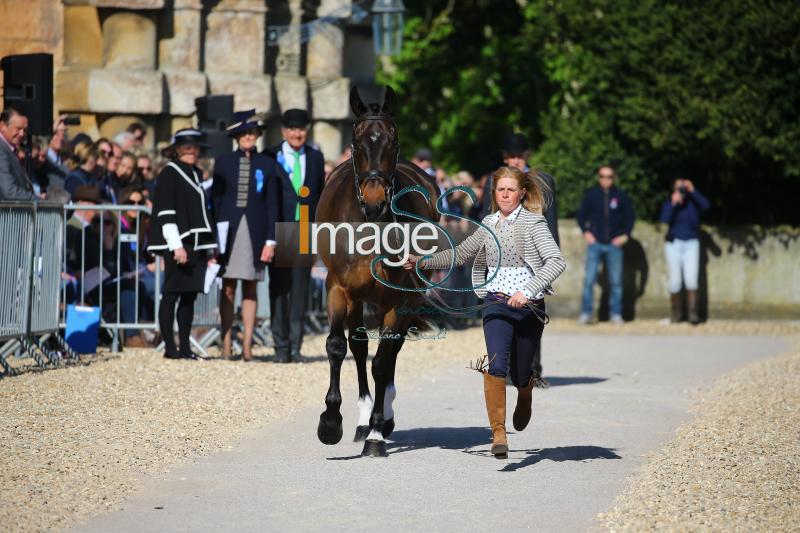 Canter_Allstar_Badmington2018_SS7_3948.jpg