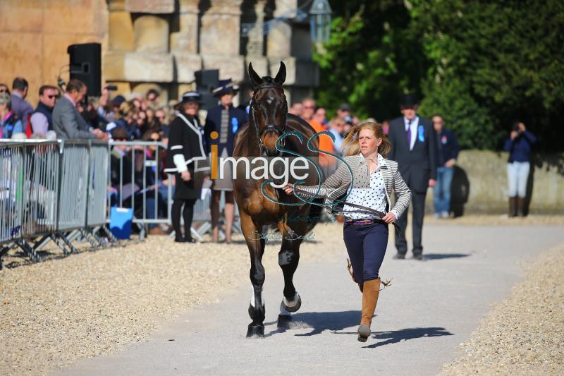 Canter_Allstar_Badmington2018_SS7_3952.jpg