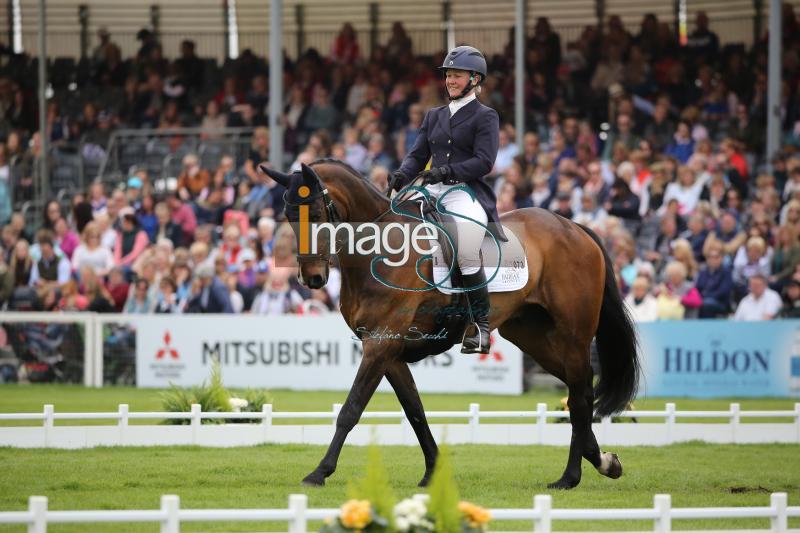 Chandler_Law_Badmington2018_SS9_4335.jpg