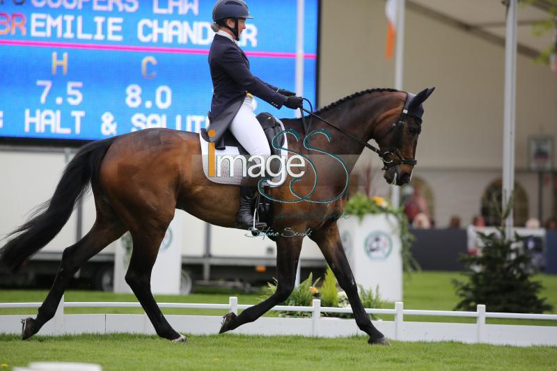 Chandler_Law_Badmington2018_SS9_4338.jpg