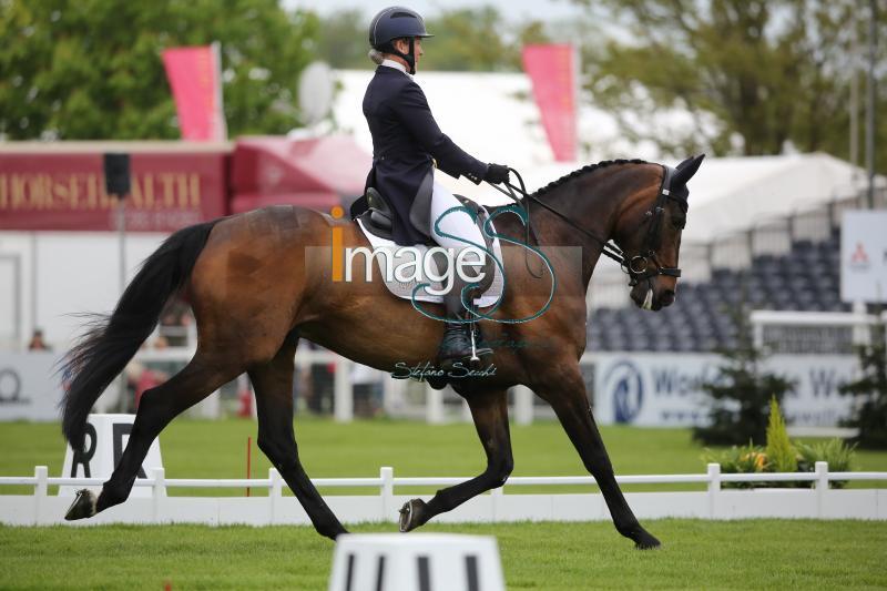 Chandler_Law_Badmington2018_SS9_4342.jpg