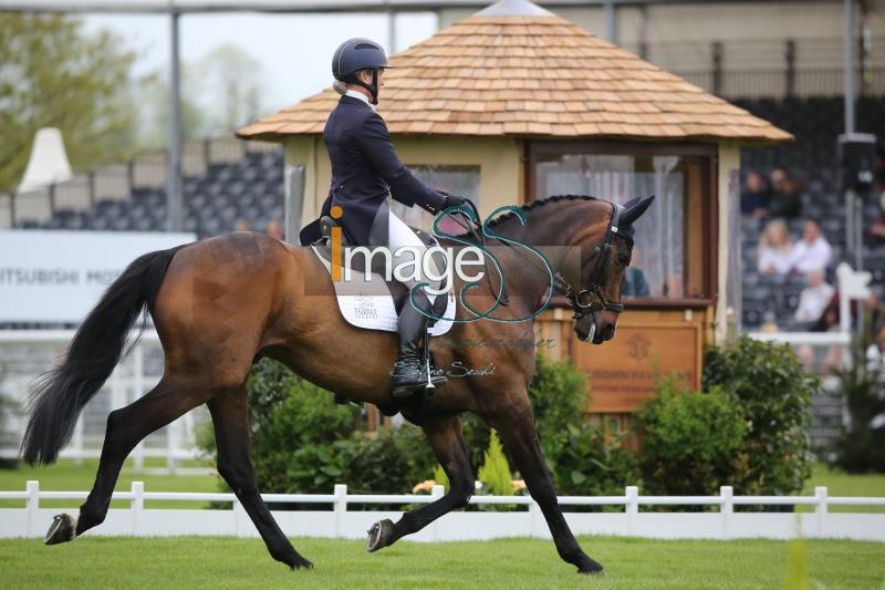 Chandler_Law_Badmington2018_SS9_4343.jpg