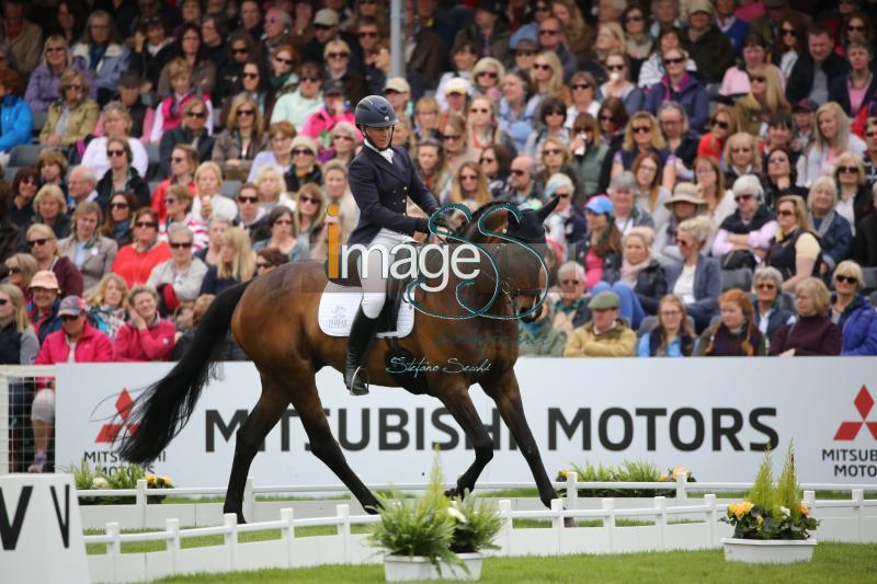 Chandler_Law_Badmington2018_SS9_4370.jpg