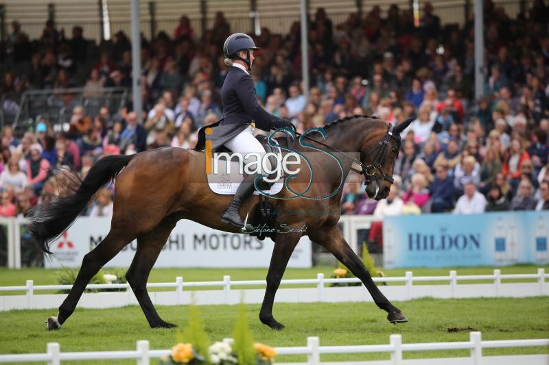 Chandler_Law_Badmington2018_SS9_4384.jpg