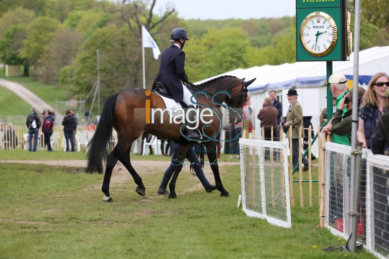 Chandler_Law_Badmington2018_SS9_4419.jpg