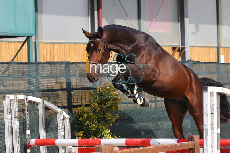 CriptoFast_Arezzo2020_SS7_0823.JPG