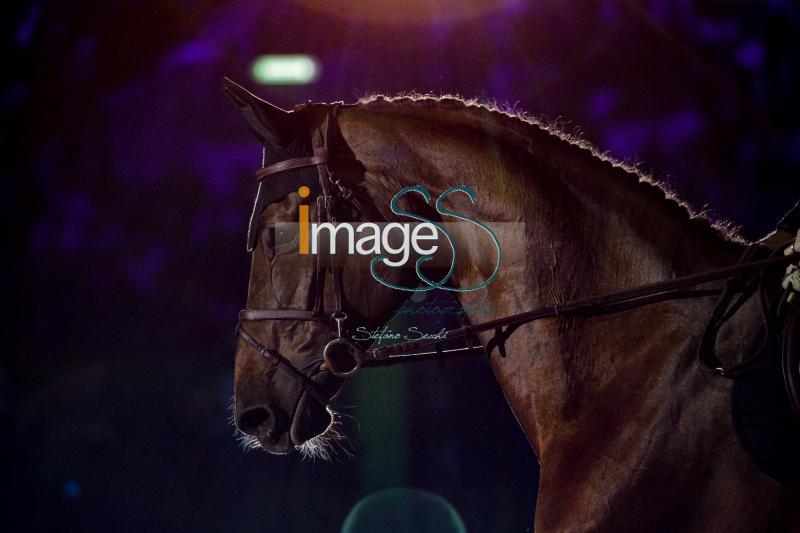 DEVOS_Espoir_Geneve2019_SS7_5160.jpg