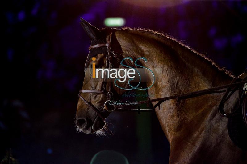 DEVOS_Espoir_Geneve2019_SS7_5161.jpg