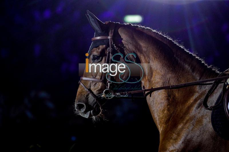 DEVOS_Espoir_Geneve2019_SS7_5162.jpg