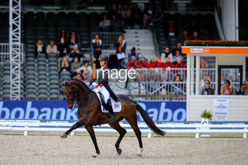 DUJARDIN_MOUNT_Rotterdam2019_SS7_3928.jpg