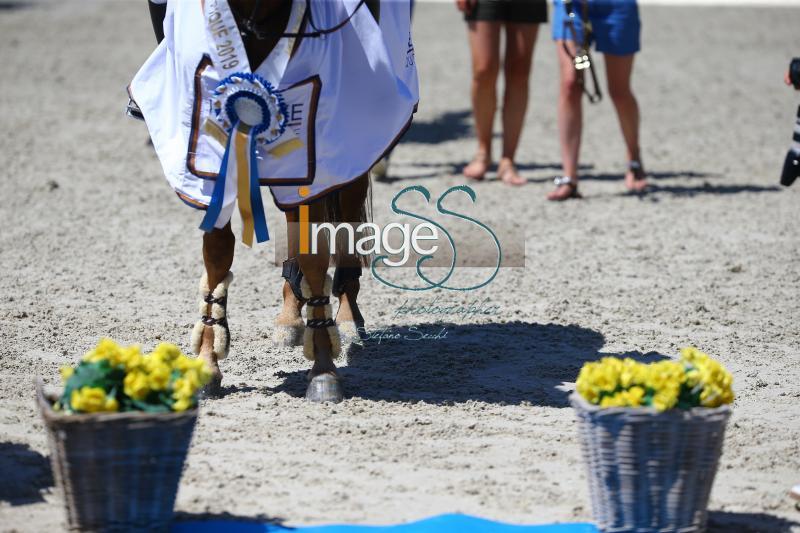 Delestre_Csio_Knokke2019_SS7_4935.jpg