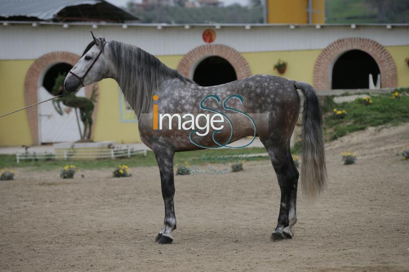 Devoto_Effata2016_SS7_6727.JPG