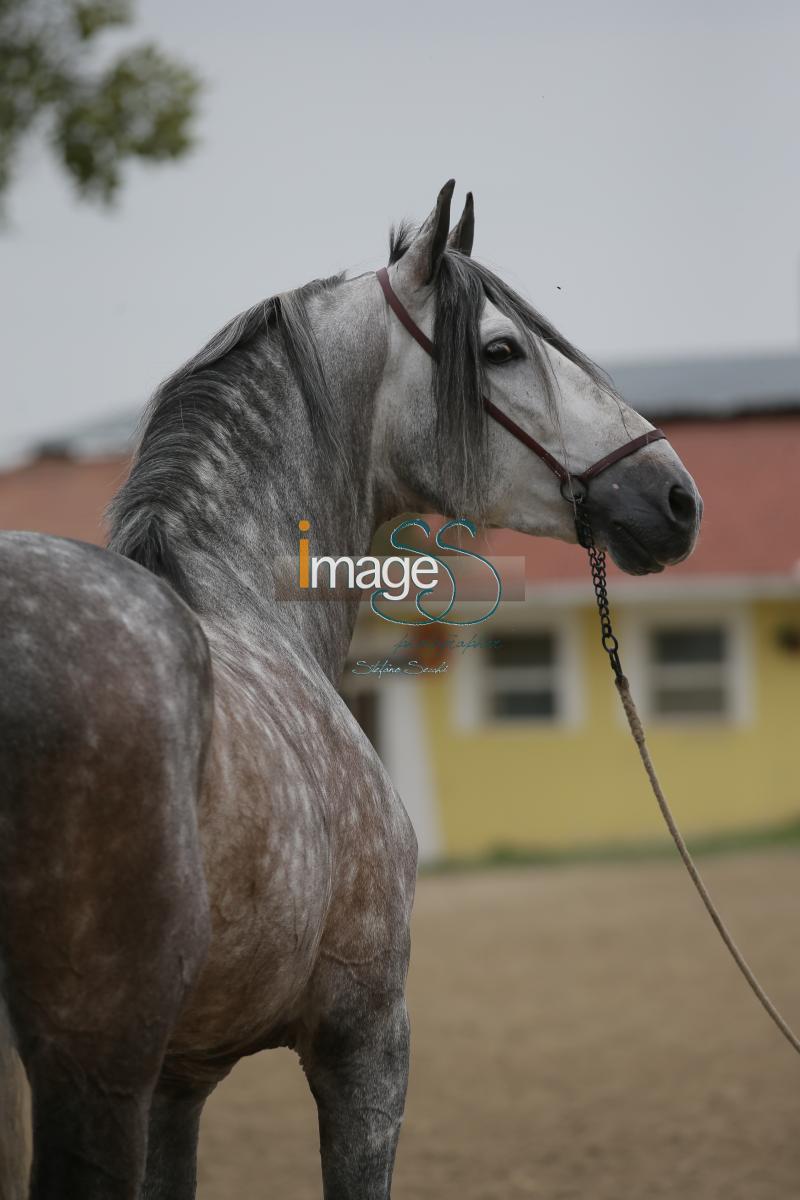 Devoto_Effata2016_SS7_6880.JPG
