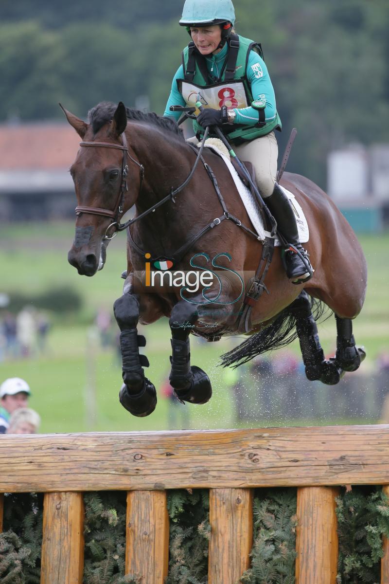 Ennis_Diamond_Aachen2016_SS7_8745.jpg