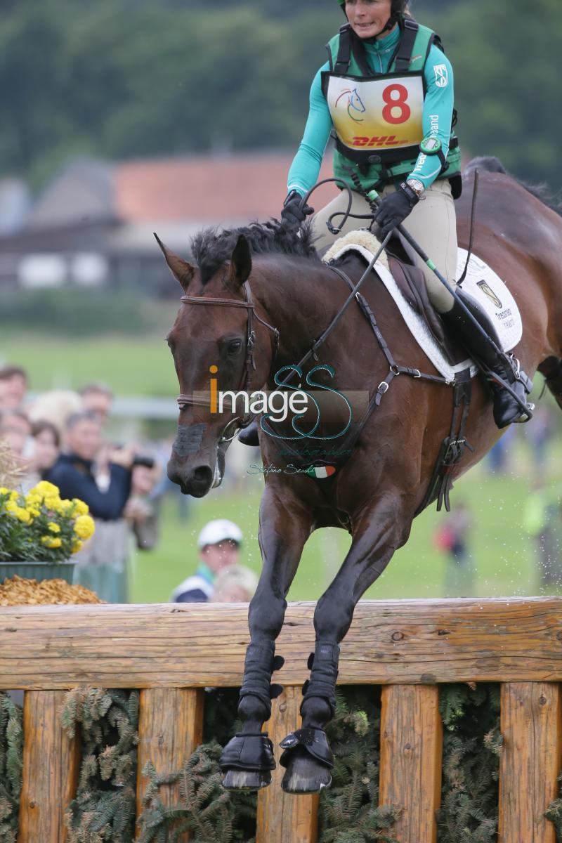 Ennis_Diamond_Aachen2016_SS7_8747.jpg