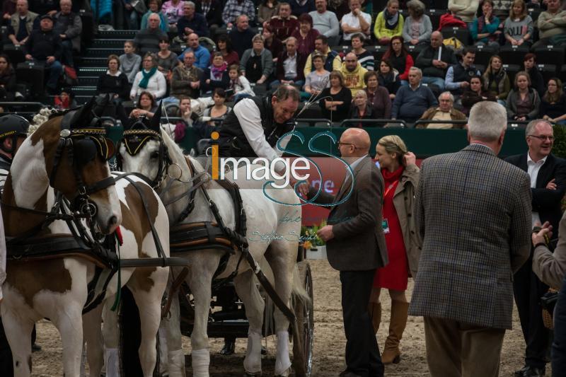 Equipe_Lipsia2017_SS7_6548.jpg