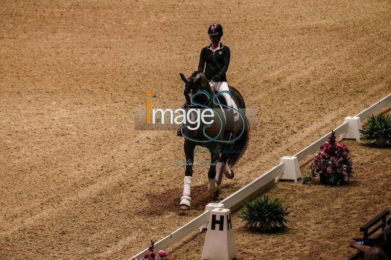 Equipe_Olympia2016_SS7_0890.JPG