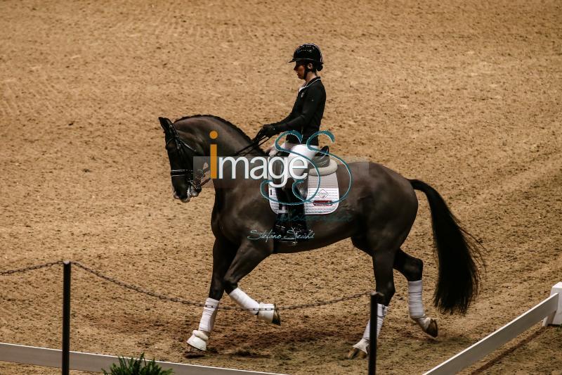 Equipe_Olympia2016_SS7_0894.JPG