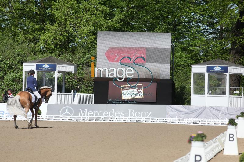 Equipe_Schenk_Amburgo2016_IMG_9403.jpg