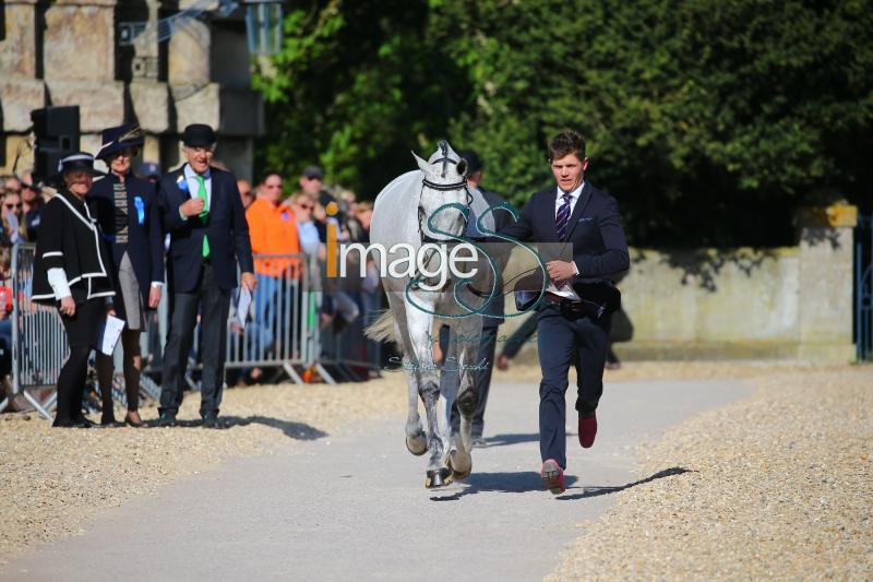 Furlong_Collien_Badmington2018_SS7_4019.jpg