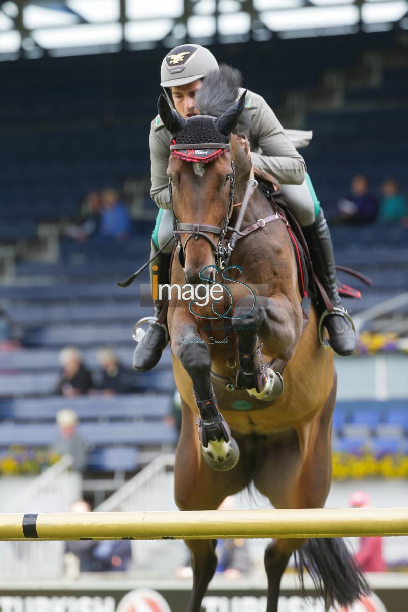 GAUDIANO_Big_Aachen2016_SS7_6970.jpg