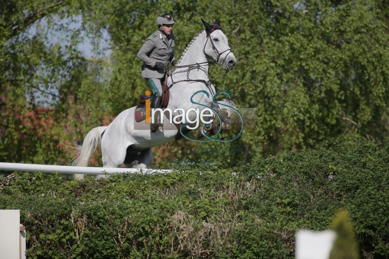 GAUDIANO_Neerhof_Amburgo2016_SS7_4998.jpg