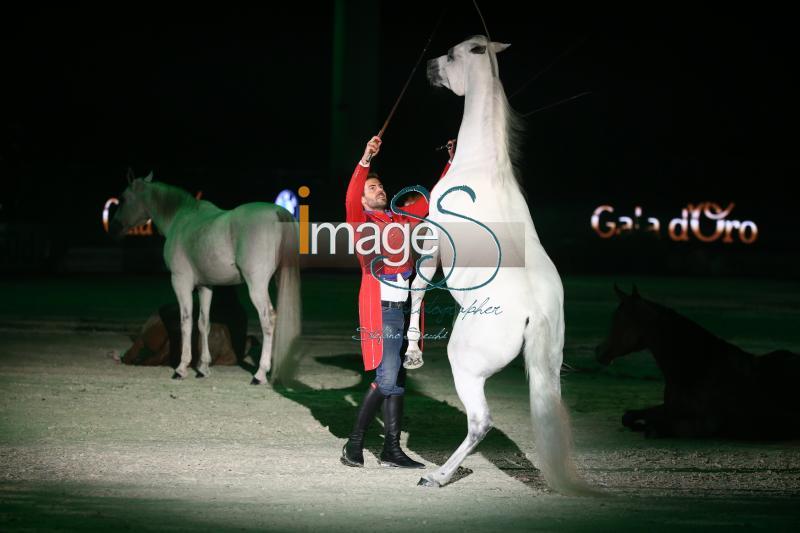 Gala_Verona2017_SS7_3826.jpg