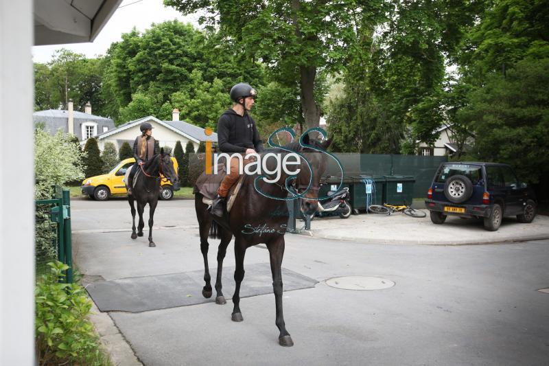 Gallorini_France2017_IMG_0443.jpg