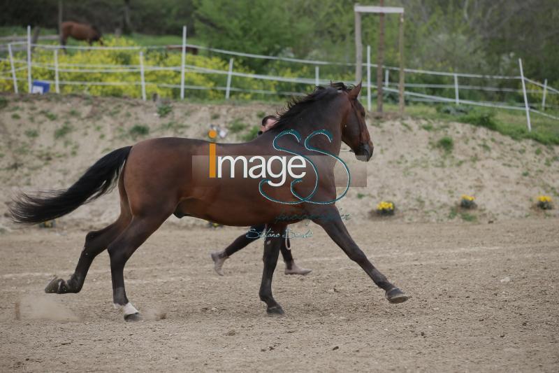 Garboso_Effata2016_SS7_7214.JPG