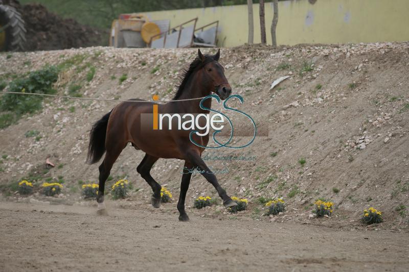 Garboso_Effata2016_SS7_7236.JPG