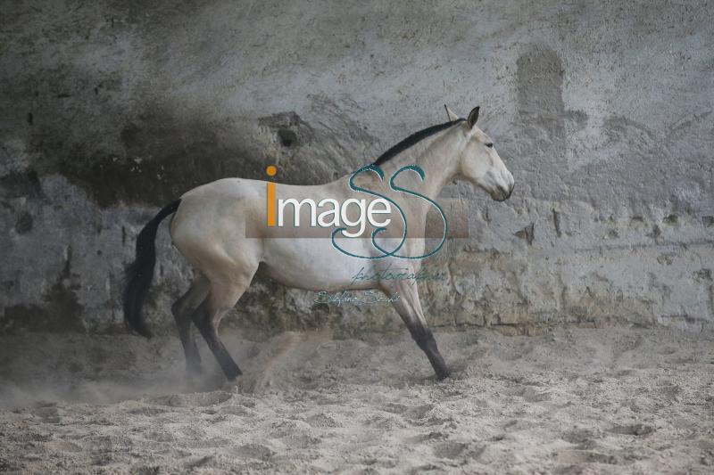 Generosa_Effata2016_SS7_9472.JPG