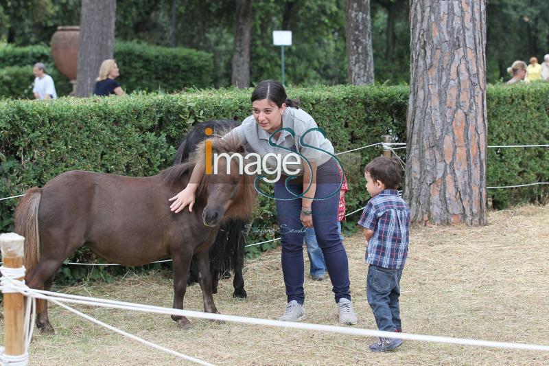 GiochiPony_Roma2016_SS8_6854.jpg