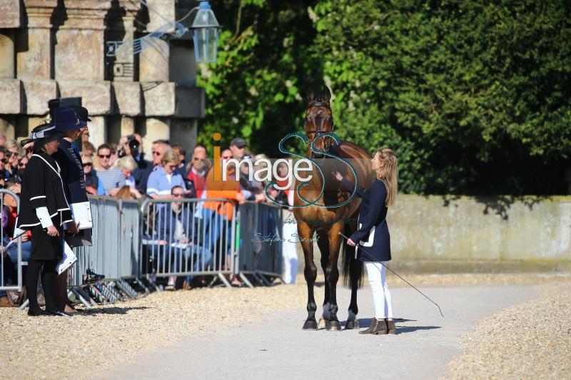 Gloag_Doublet_Badmington2018_SS7_3811.jpg