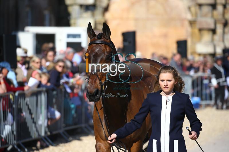 Gloag_Doublet_Badmington2018_SS7_3827.jpg