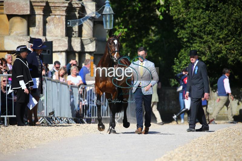 Glynn_November_Badmington2018_SS7_4317.jpg