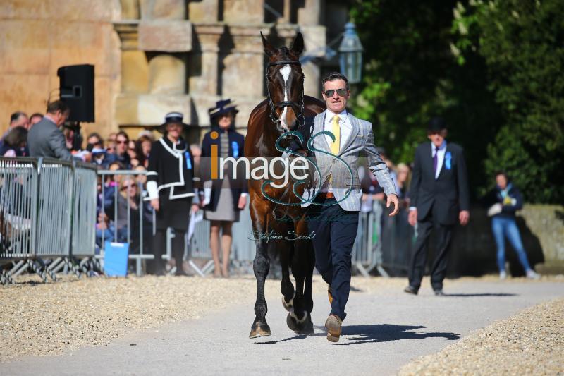 Glynn_November_Badmington2018_SS7_4325.jpg