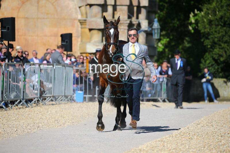 Glynn_November_Badmington2018_SS7_4329.jpg