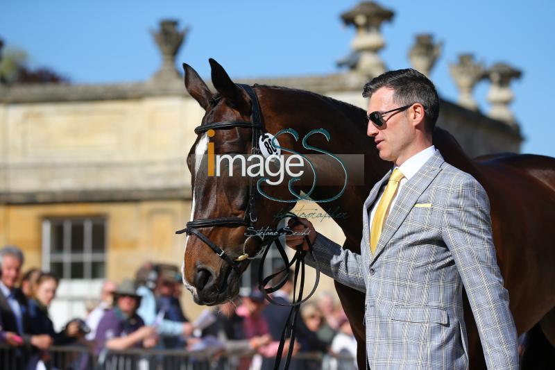 Glynn_November_Badmington2018_SS7_4341.jpg
