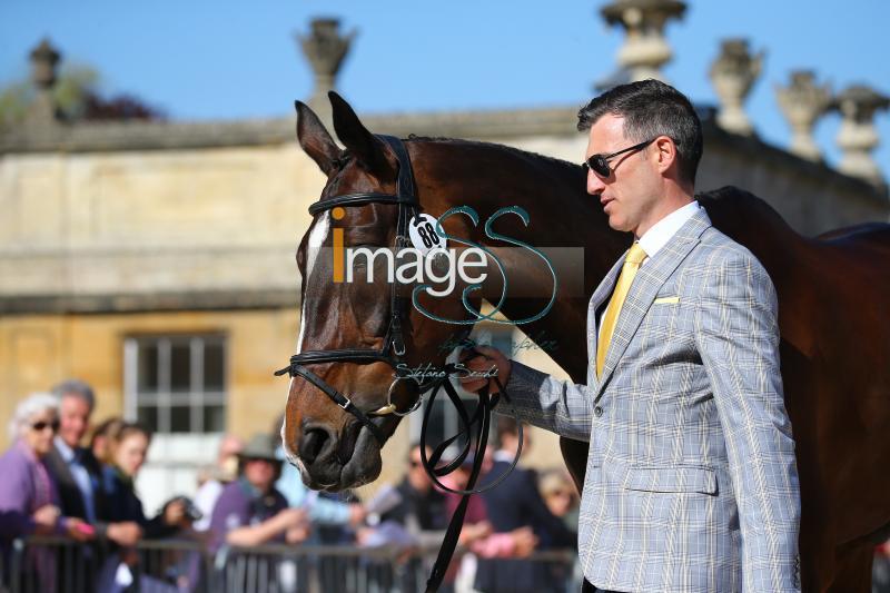 Glynn_November_Badmington2018_SS7_4342.jpg