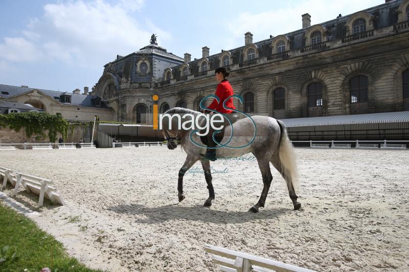 GrandEcurie_Chantilly2017_SS7_0293.jpg