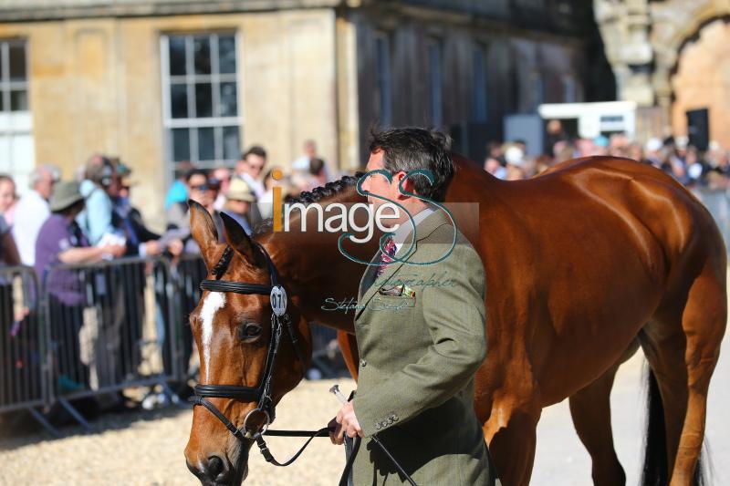 Griffiths_Paulank_Badmington2018_SS7_4313.jpg
