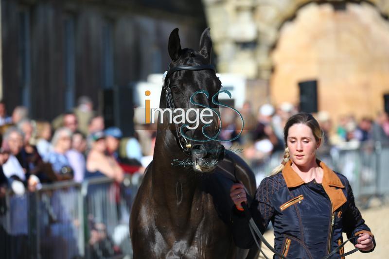 Hannon_Royal_Badmington2018_SS7_3805.jpg