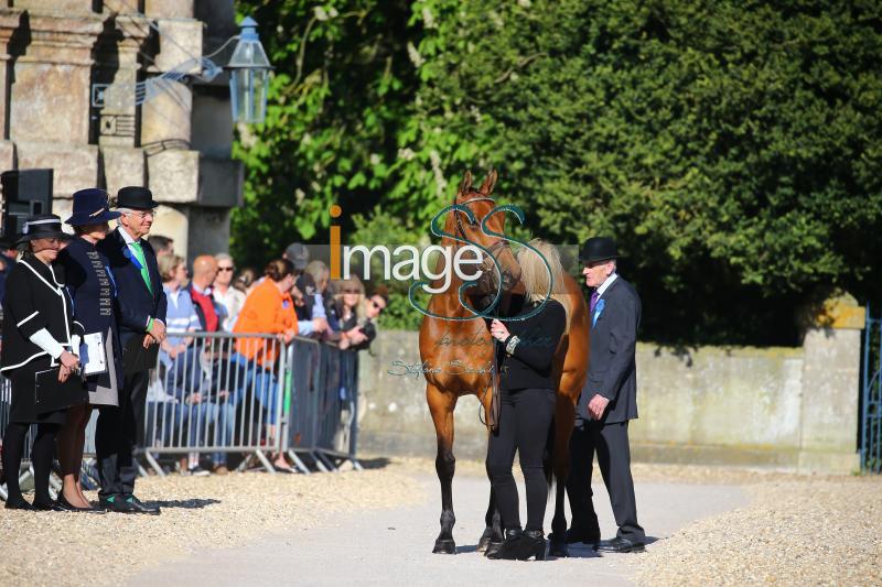 Hawker_Charles_Badmington2018_SS7_3560.jpg
