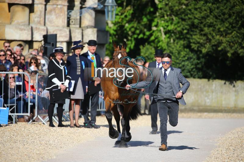 Hobday_Error_Badmington2018_SS7_3598.jpg