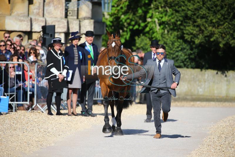 Hobday_Error_Badmington2018_SS7_3599.jpg