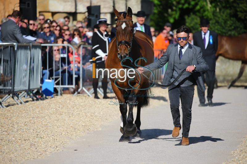 Hobday_Error_Badmington2018_SS7_3600.jpg