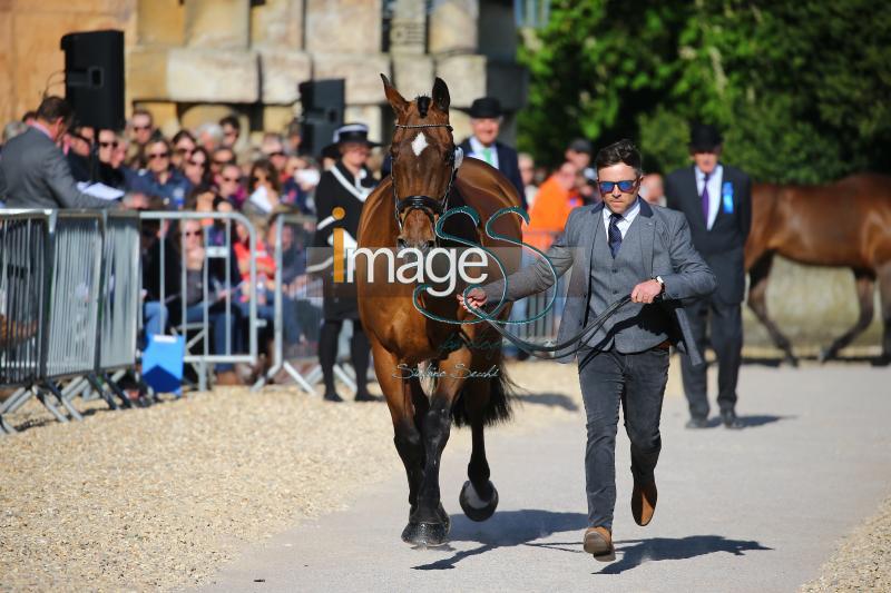 Hobday_Error_Badmington2018_SS7_3601.jpg