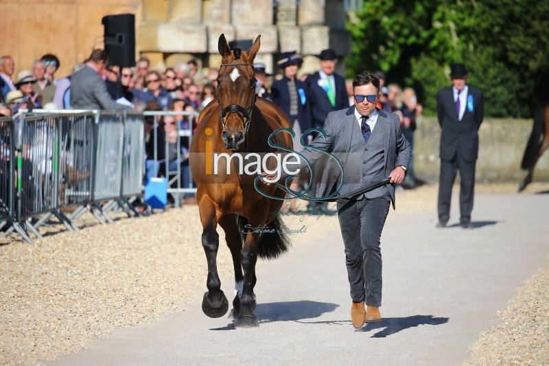 Hobday_Error_Badmington2018_SS7_3603.jpg