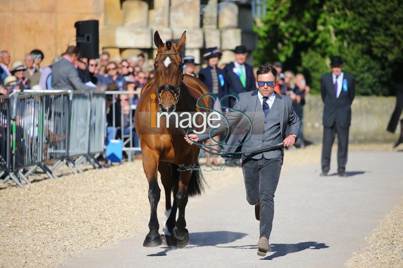 Hobday_Error_Badmington2018_SS7_3604.jpg