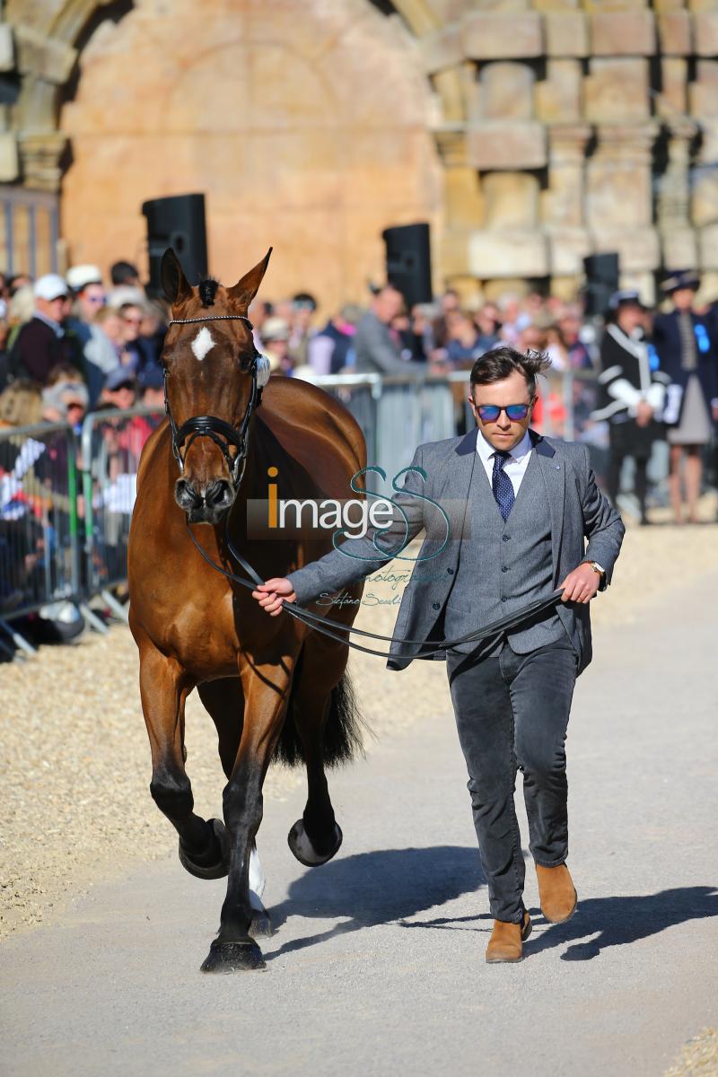 Hobday_Error_Badmington2018_SS7_3606.jpg